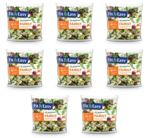 MIX SAŁAT FAMILY UNIA EUROPEJSKA 200G FIT&EASY X8