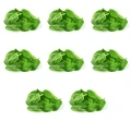 image-editor%2Fmultipack%2F1777031700691-r1265-c1-x8.png