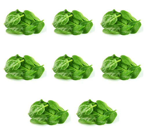 image-editor%2Fmultipack%2F1777031700691-r1265-c1-x8.png