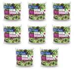 MIX SAŁAT INTENSE UNIA EUROPEJSKA 150G FIT&EASY X8