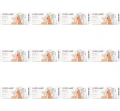 image-editor%2Fmultipack%2F1777034287958-r3717-c1-x12.png