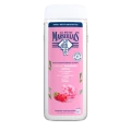 image-editor%2Fzip-import%2F1776698382077-1471-bac77b6777be.png