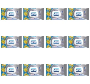 Papier nawilżany Regina Ultra Med 42 sztuki X12