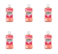 image-editor%2Fmultipack%2F1777034390195-r3822-c1-x6.png
