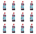 image-editor%2Fmultipack%2F1777034397548-r3830-c1-x12.png