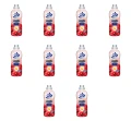 image-editor%2Fmultipack%2F1777034398429-r3831-c1-x10.png