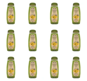 OL From Plants With Love szampon ARNIKA & ZIELONA HERBATA 500 ml X12