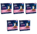 image-editor%2Fmultipack%2F1777034558281-r3988-c1-x5.png
