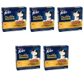 image-editor%2Fmultipack%2F1777034580871-r4010-c1-x5.png