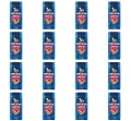 image-editor%2Fmultipack%2F1777034676501-r4101-c1-x16.png