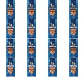 image-editor%2Fmultipack%2F1777034695788-r4121-c1-x16.png