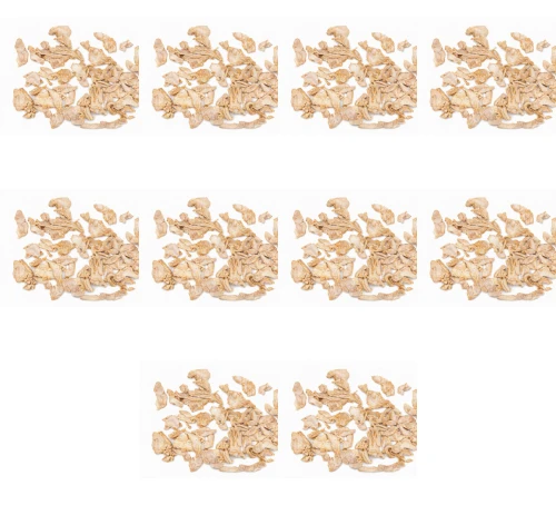 image-editor%2Fmultipack%2F1777034747004-r4170-c1-x10.png