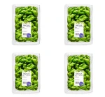 Bazylia Cięta 200g Plant Love X4