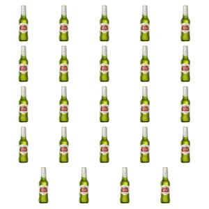 Stella Artois 5,0% 330 ml X24