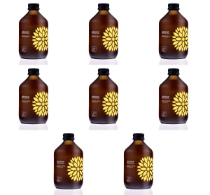 Kombucha  Kurkuma + Imbir BIO 330 ml X8