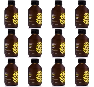 Kombucha BIO Probiotyk Detoks Shot 100ml X12