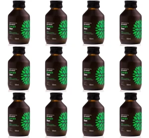 Kombucha BIO Probiotyk Energia Shot 100ml X12
