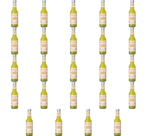 Napój gazowany pomarańczowy BIO 275 ml X24