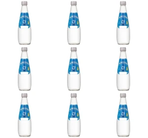 Naturalna woda mineralna wysokonasycona CO2 0,3l X9