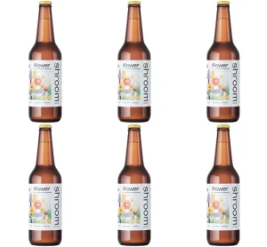 Shroom Power napój z adaptogenami 330 ml X6