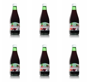 Sok wielowarzywny kiszony B/C BIO 300 ml X6