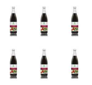 Sok wielowarzywny kiszony B/C BIO 500 ml X6