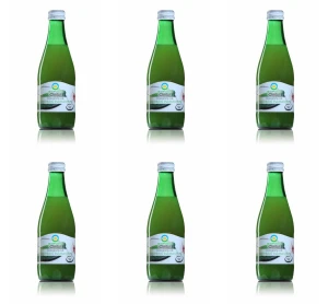 Sok z ogórka kiszonego B/C BIO 300 ml X6