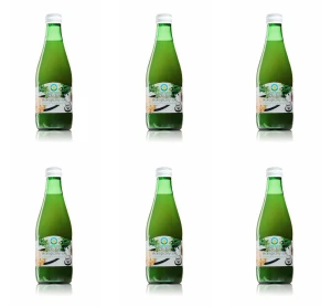 Sok z selera kwaszonego B/C BIO 300 ml X6