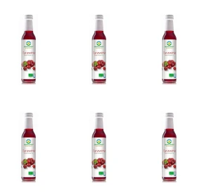 Syrop z żurawiny BIO 250 ml X6