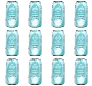 Woda kokosowa  puszka BIO 330 ml X12