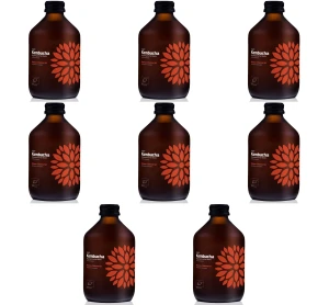 Kombucha Malina + Rozmaryn BIO 330 ml X8