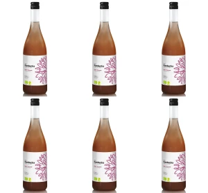 Kombucha  Mango + Marakuja BIO 750 ml X6