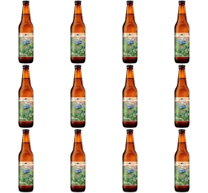 Kombucha Oryginal 330 ml but. X12