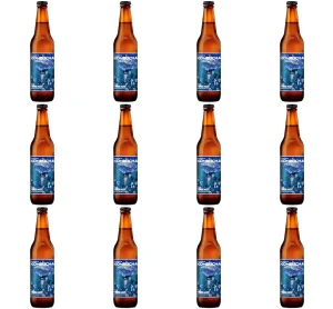 Kombucha Yerba Mate 330 ml but. X12