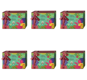 Zestaw herbat Birthday Moments (12x2g) BIO X6