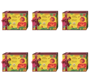 Zestaw herbat  Thank You Moments ( 12x2 g) BIO X6
