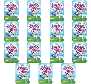 Ser gouda w plastrach 48% tł. BIO 100 g X15