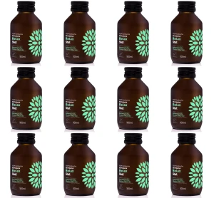 Kombucha BIO Probiotyk Relax Shot 100ml X12
