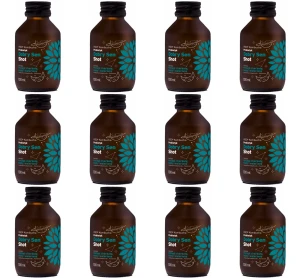 Kombucha Shot Dobry Sen 100ml X12