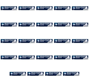 Winterfresh Strong Mints 16 sztuk/28g X24