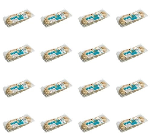 image-editor%2Fmultipack%2F1779718894730-r1302-c1-x16.png