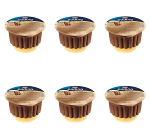 Puding Choco & Vanilla 450g X6