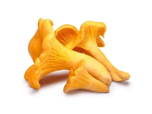 Kurka świeża ok. 250 g grzyby-kurki.jpg
