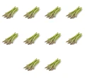 image-editor%2Fmultipack%2F1779718669376-r1089-c1-x10.png