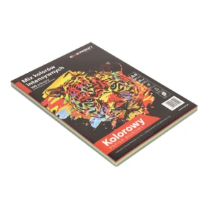 Papier ksero A4 mix kolorów intensywnych XEM1001N, opak.=100arkuszy (5kolorów X 20arkuszy)