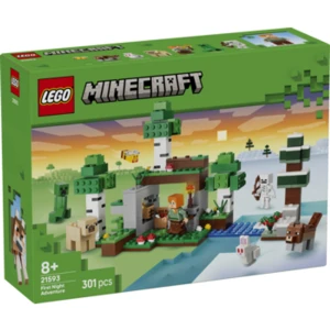 Klocki LEGO Minecraft 21593