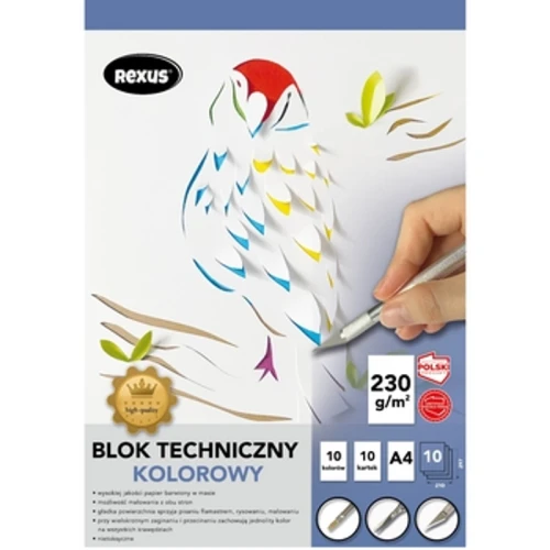 Blok techniczny kolorowy A4 10 kartek premium Rexus 1779184107575-l74dxc.png