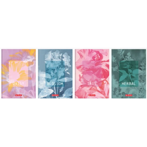 Brulion Herlitz Standard Blossom A5 96 kartek kratka z marginesem 1779185177788-cyjwx.png