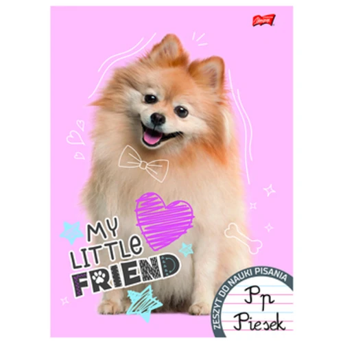 Zeszyt okładka laminowana A4, 32 kartki, linia dwukolorowa My Little Friend 1779185951039-opyhjx.png