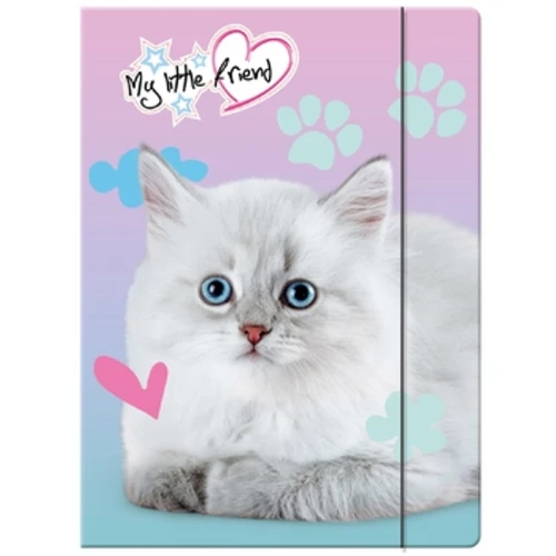 Teczka z gumką A4 My Little Friend 1779186106542-k9fg0m.png